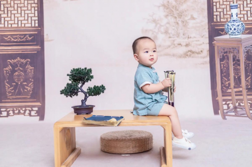 安宁可爱的企鹅宝宝